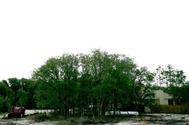 photo12.jpg
